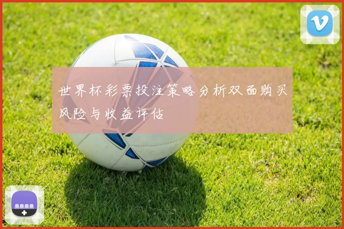 世界杯彩票投注策略分析双面购买风险与收益评估
