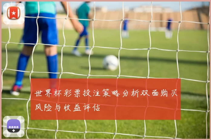 世界杯彩票投注策略分析双面购买风险与收益评估