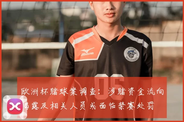 欧洲杯赌球案调查：涉赌资金流向揭露及相关人员或面临禁赛处罚