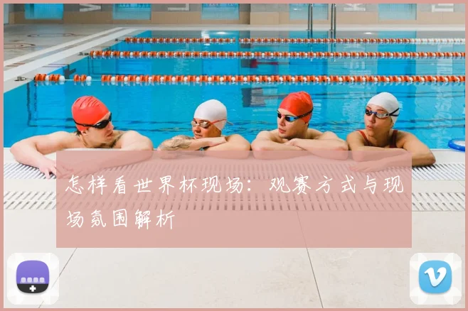 怎样看世界杯现场:观赛方式与现场氛围解析