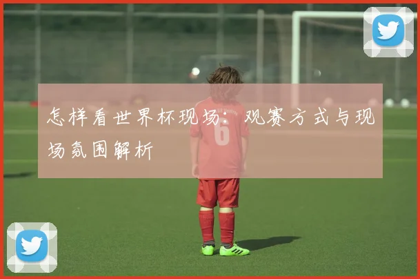 怎样看世界杯现场：观赛方式与现场氛围解析