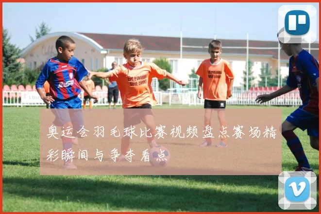 奥运会羽毛球比赛视频盘点赛场精彩瞬间与争夺看点