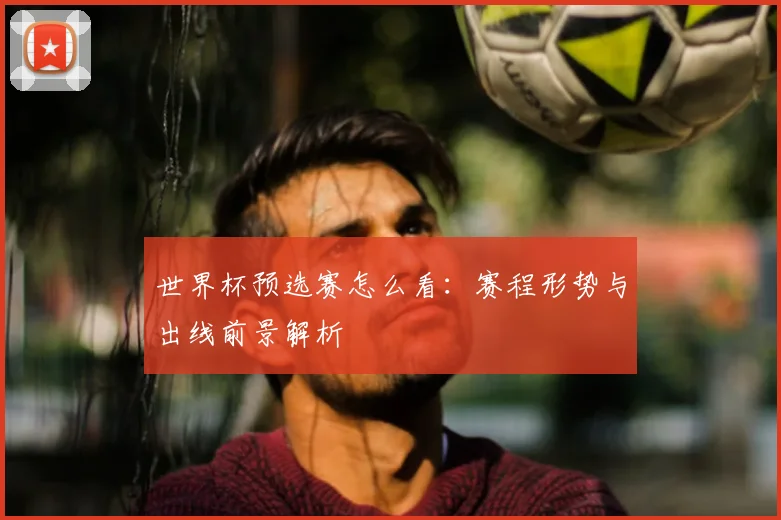 世界杯预选赛怎么看：赛程形势与出线前景解析