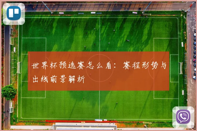 世界杯预选赛怎么看：赛程形势与出线前景解析