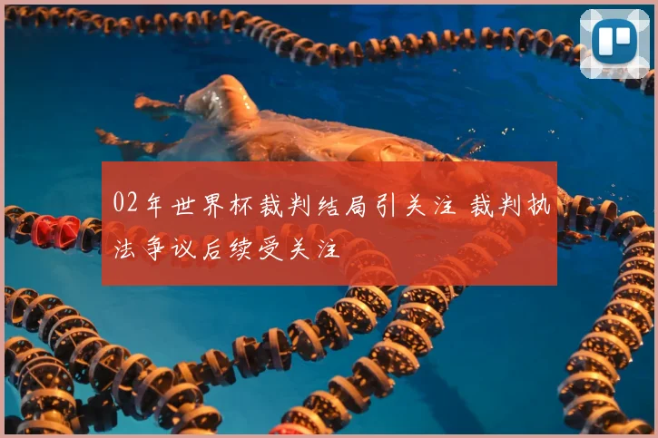 02年世界杯裁判结局引关注 裁判执法争议后续受关注