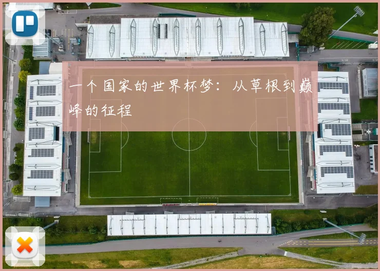 一个国家的世界杯梦：从草根到巅峰的征程