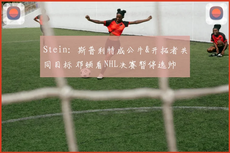 Stein:斯普利特成公牛&开拓者共同目标 邓顿看NHL决赛暂停选帅