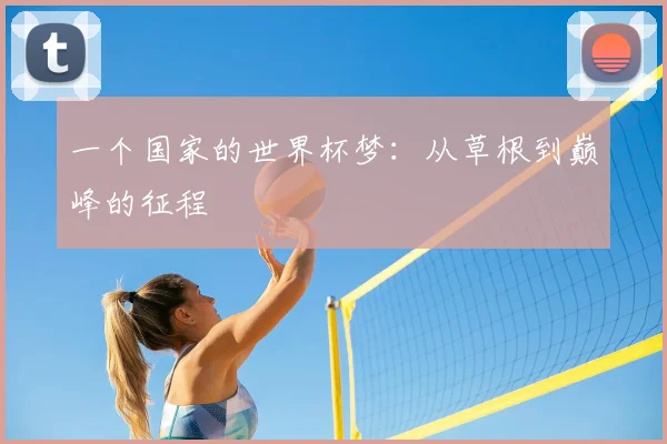 一个国家的世界杯梦：从草根到巅峰的征程